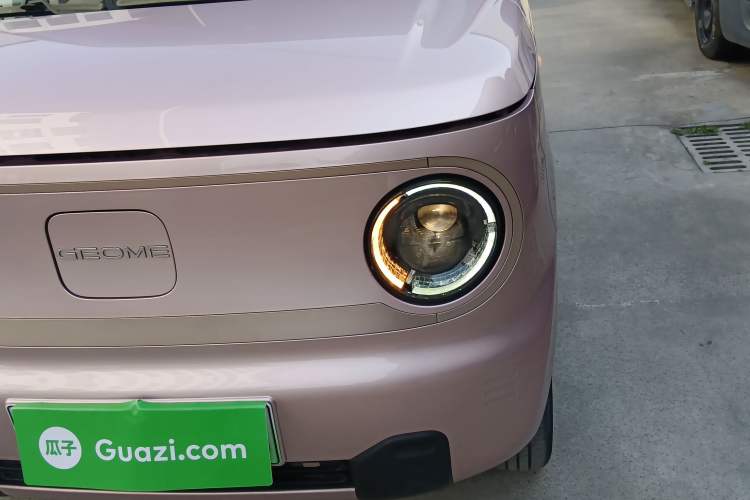 Used  Panda 2023 Panda Mini 200km Endurance Bear
