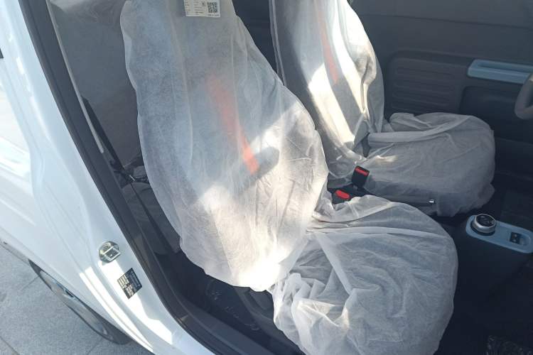 Used  Panda 2024 Panda Mini 200km Endurance Bear