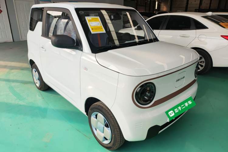 Used  Panda 2024 Panda Mini 200km Endurance Bear