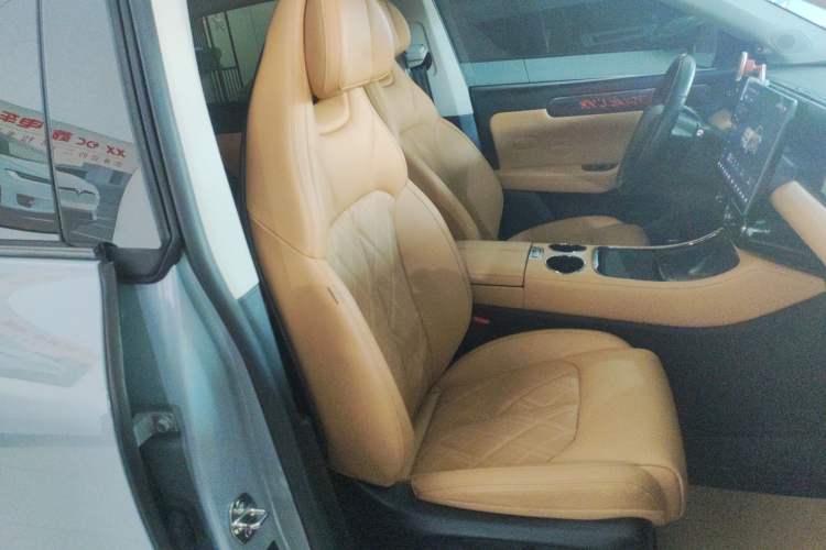 Used Leapmotor C11 2024 Range-Extended 300 Luxury Edition
