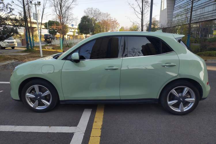 Used ORA Good Cat 2021 500km Long-Range Business Edition Lithium-NMC
