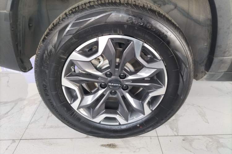 Used Haval DARGO 2024 2.0T DCT Chinese Rural Dog Edition