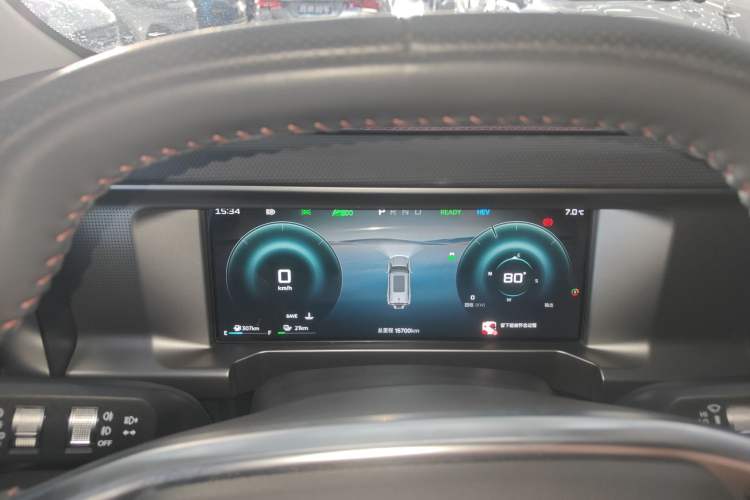 Used  Shanhai T2 2024 C-DM 129KM Linye Edition
