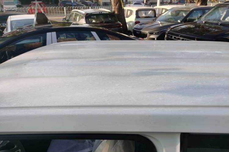 Used  Panda 2024 Panda Mini 200km Endurance Bear
