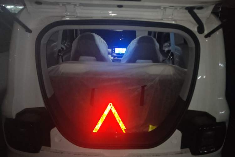 Used  Panda 2025 210 km – Yuanqi Bear
