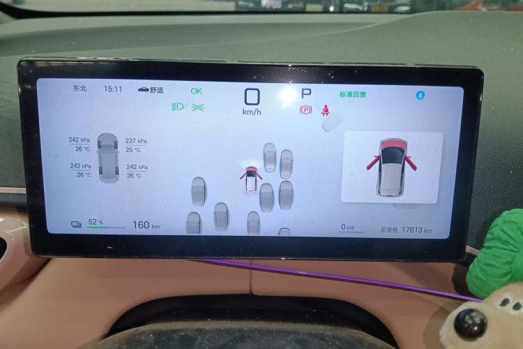 Used BYD Seagull 2025 Smart Drive Version 305 km Freedom Edition
