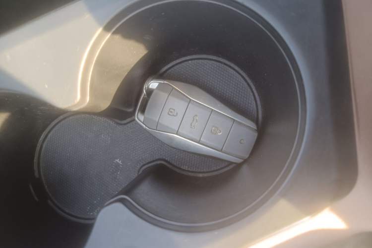 Used SOL E10X 2022 Flower Fairy Design Four-Leaf Clover