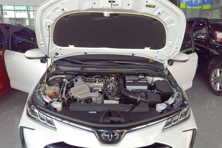 Used Toyota Corolla 2019 1.2T S-CVT GL-i Luxury Edition
