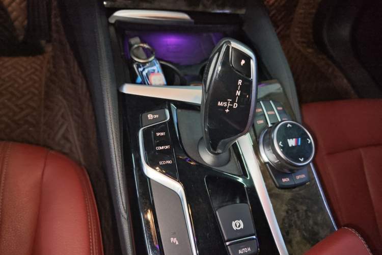 Used BMW 5 Series 2020 530Li Leading Model M Sport Package
