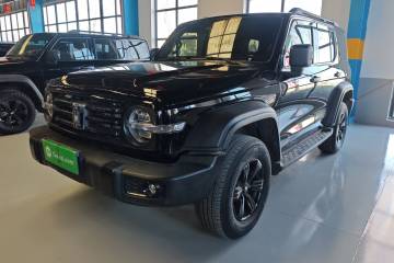 Used Tank 300 2024 2.0T Conqueror