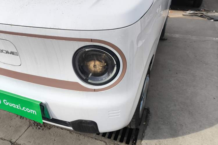 Used  Panda 2024 Panda Mini 200km Endurance Bear
