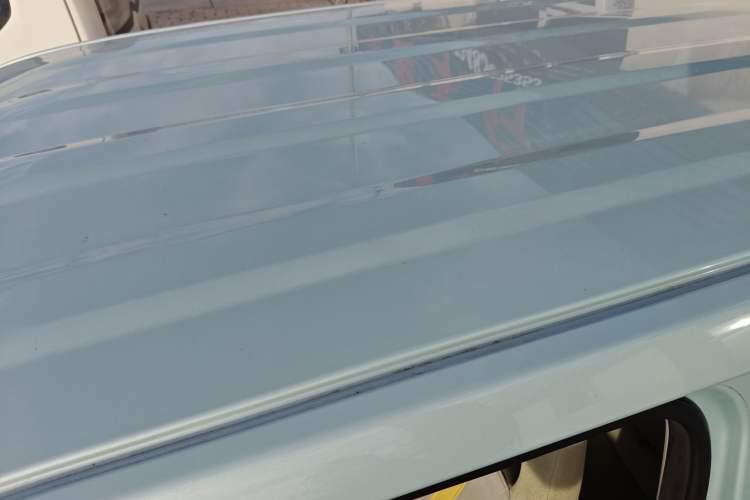 Used  Panda 2024 Panda Mini 200km Endurance Bear
