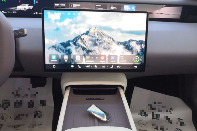 Used  06 2025 Max All-Electric Version
