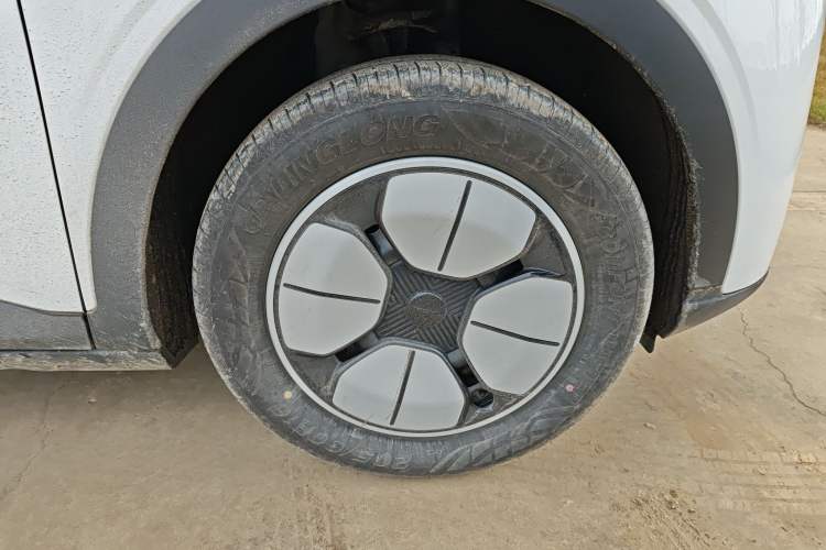 Used  Geome 2025 310km Youth Edition
