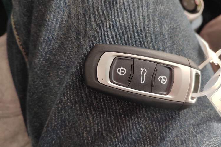 Used  Panda 2024 Panda Mini 200km Endurance Bear