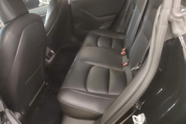 Used Tesla Model 3 2020 Standard Range Rear-Wheel Drive Upgraded Version