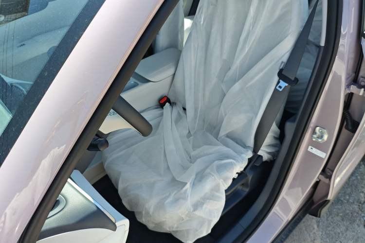 Used  Geome 2025 310km Youth Edition
