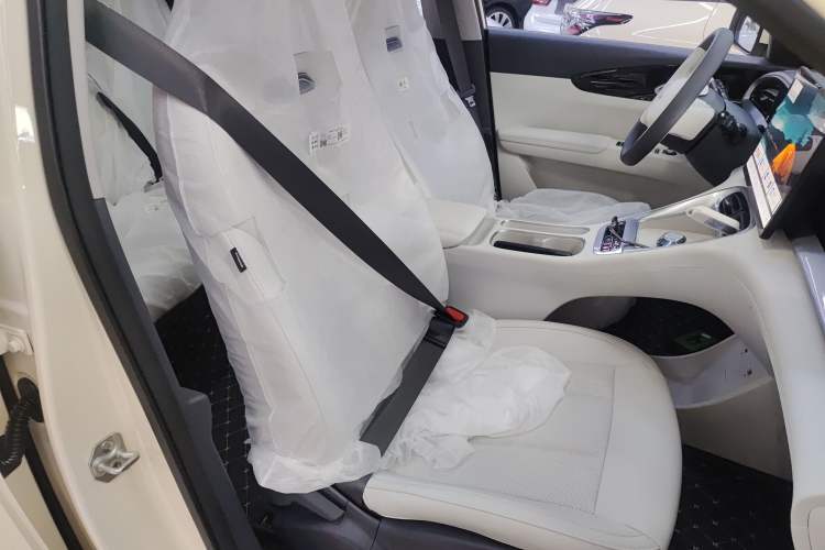 Used  Geome 2025 310km Dream Edition