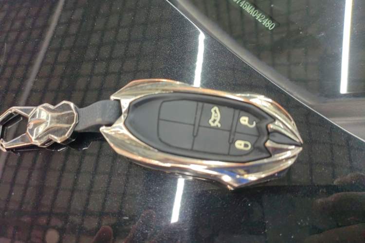 Used  Grand Commander 2022 2.0T Two-Wheel Drive Luxury Version