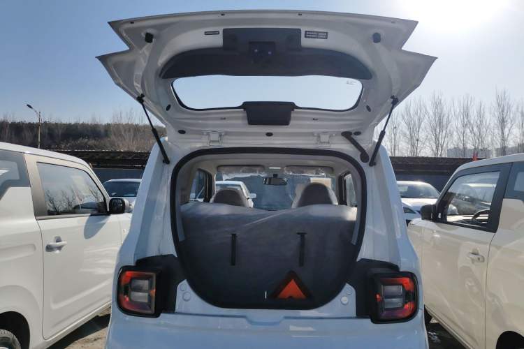 Used  Panda 2025 210 km – Yuanqi Bear
