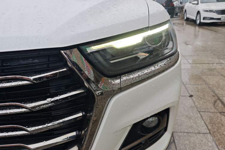 Used Haval H6 2021 National Trend Edition 1.5T Automatic Urban Version
