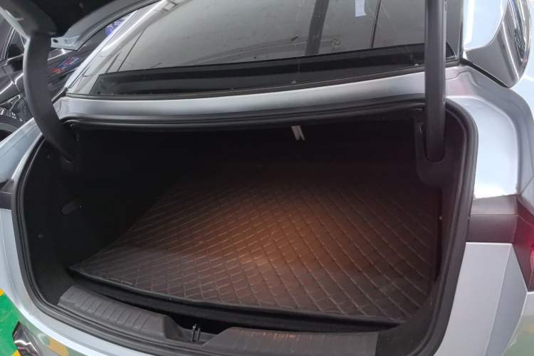 Used  GT 2023 710 Rear-Drive Ultra-Charging Version
