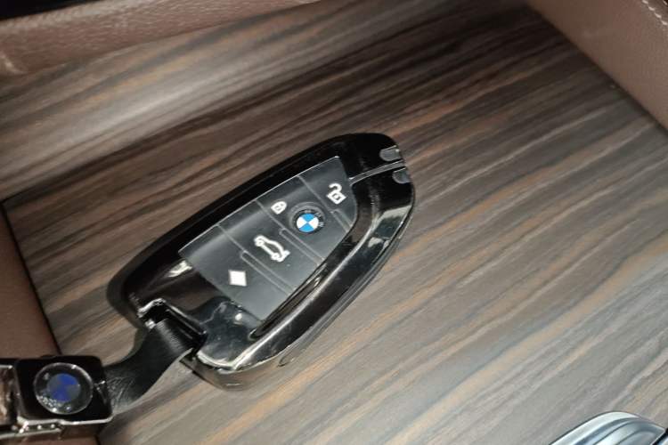 Used BMW 5 Series New Energy 2019 Updated Version 530Le Luxury Package
