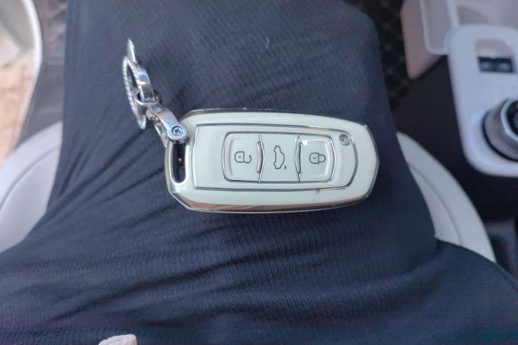 Used  Panda 2024 200km Panda Rider