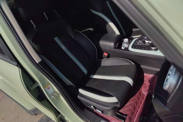 Used Tank 300 2021 City Edition 2.0T—Truly Stylish