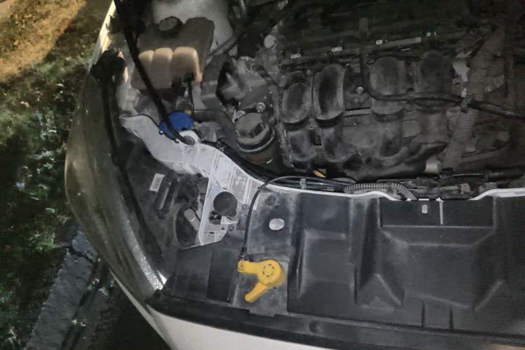 Used Ford Focus 2018 Sedan Classic 1.6L Automatic Trendy SmartDrive Edition
