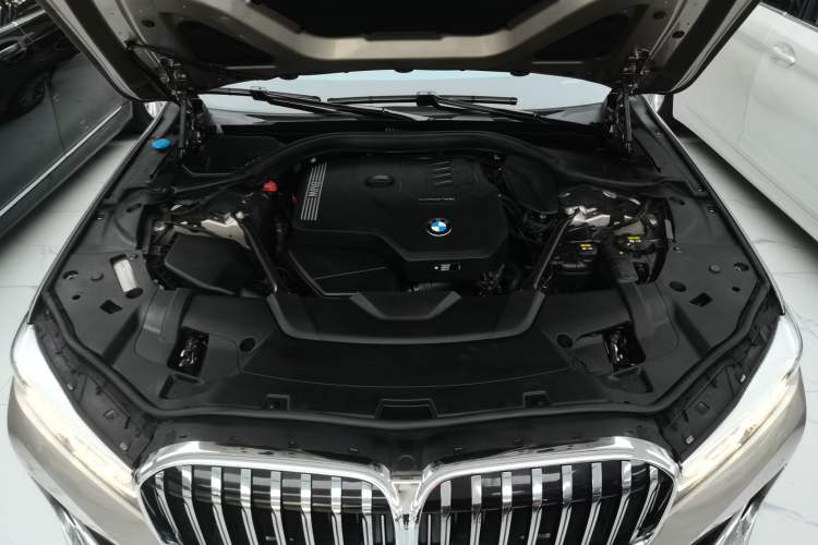 Used BMW 7 Series 2019 730Li Luxury Package
