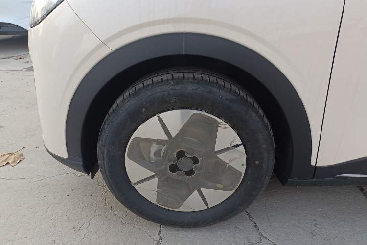 Used  Geome 2025 310km Dream Edition
