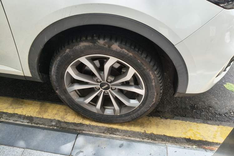 Used Wey VV6 2020 2.0T Two-Wheel Drive Smart Protection+
