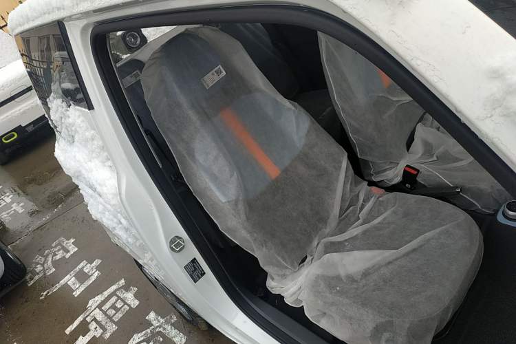 Used  Panda 2024 Panda Mini 200km Endurance Bear
