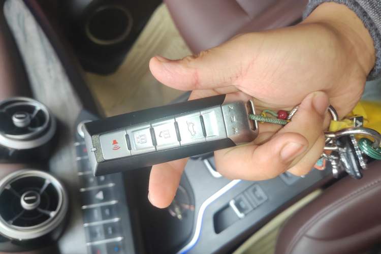 Used Wey VV7 2020 2.0T Ultra-Luxury Version