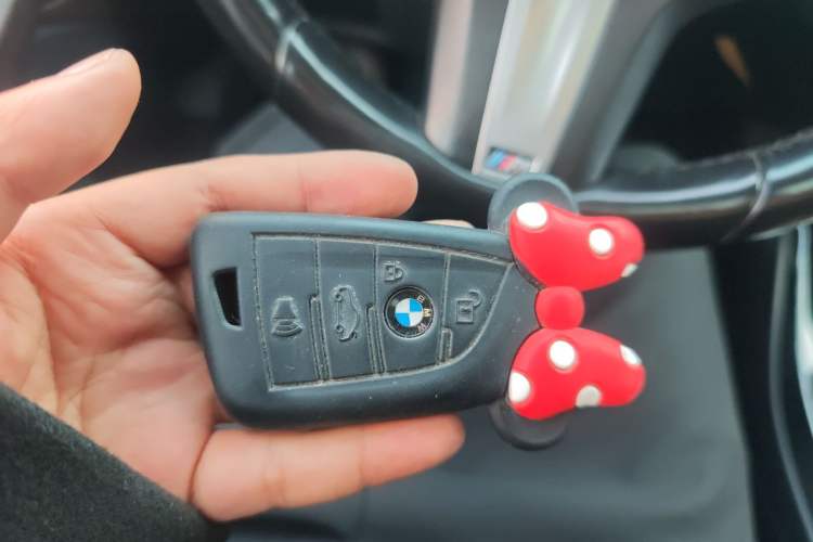 Used BMW X3 2018 xDrive25i M Sport Package China V