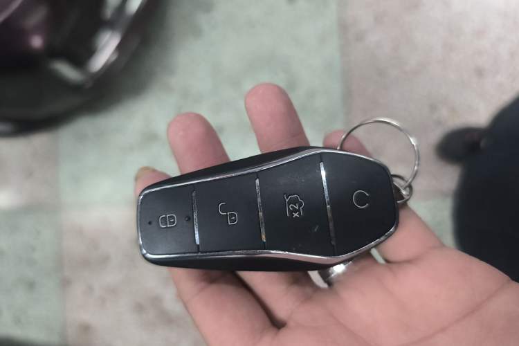 Used BYD Destroyer 05 2024 HONOR Edition DM-i 55KM Luxury Model