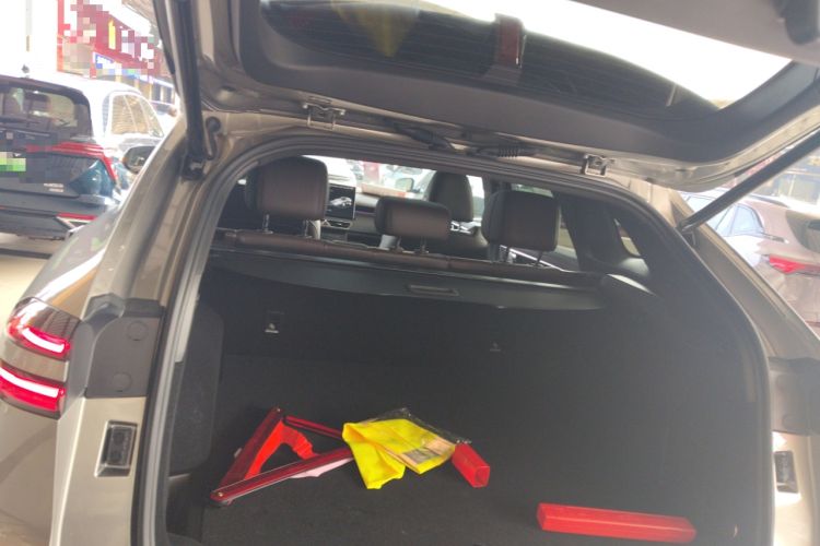 Used Wey Mocha New Energy 2024 Hi4 Four-Wheel Drive Long-Range Version
