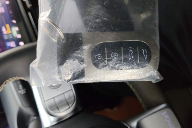 Used  #5 2024 Jungle Realm Limited Edition