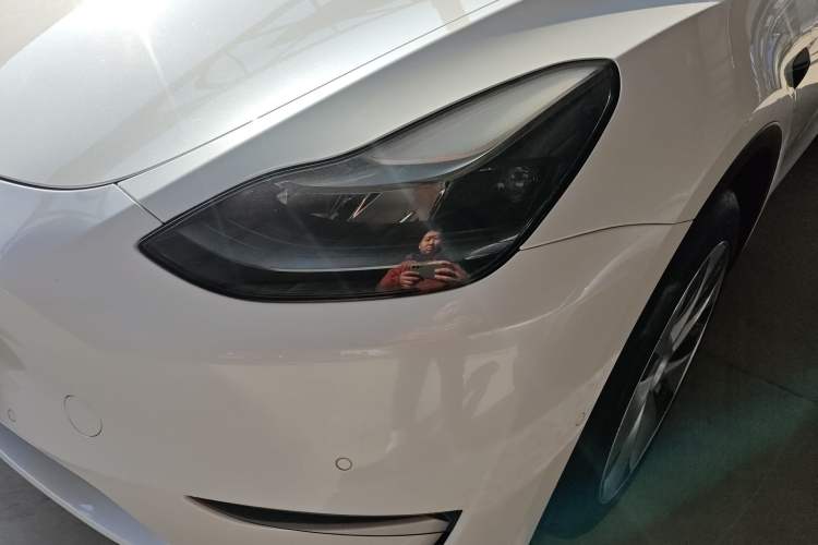 Used Tesla Model Y 2021 Standard Range Rear-Wheel Drive Version
