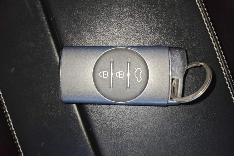 Used  TX 2019 1.6T Four-Wheel Drive Platinum Edition