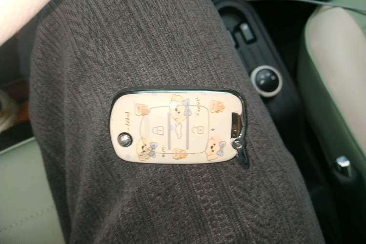 Used Wuling Hongguang MINIEV 2021 Macaron Fashion Model Lithium Iron Phosphate
