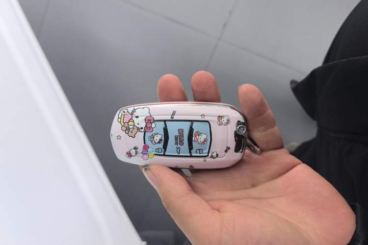 Used  Panda 2025 210km Panda Rider
