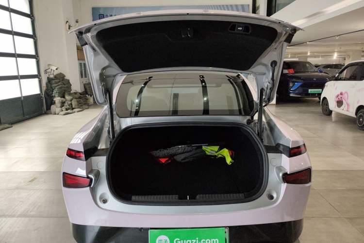 Used XPeng P7 2021 480N
