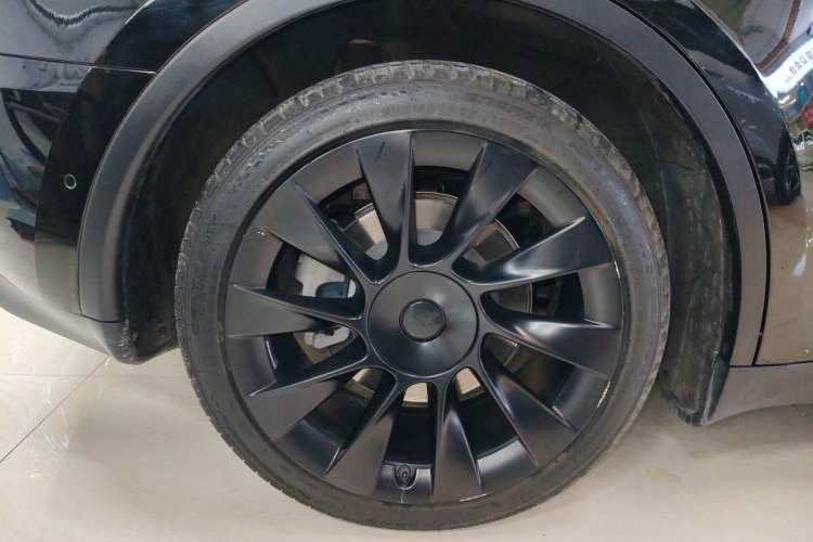 Used Tesla Model Y 2021 Standard Range Rear-Wheel Drive Version
