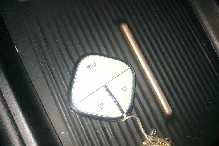 Used Baojun Yunhai 2024 600km Pure Electric Version
