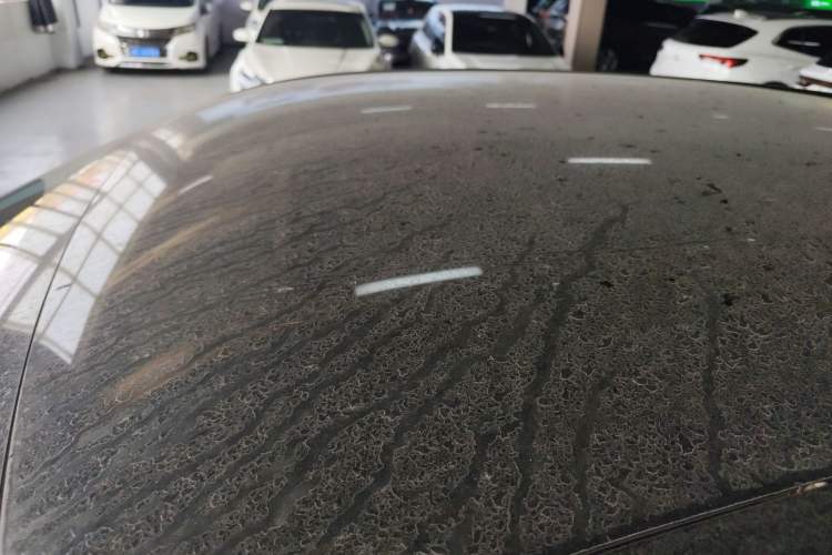 Used Venucia V DD-i 2023 110 km iE Version