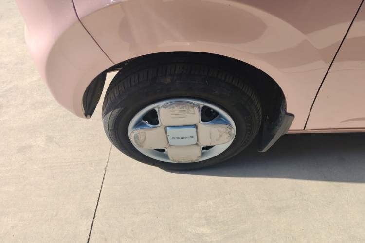 Used  Panda 2023 Panda Mini 200km Endurance Bear