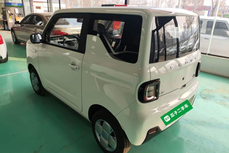 Used  Panda 2024 Panda Mini 200km Endurance Bear