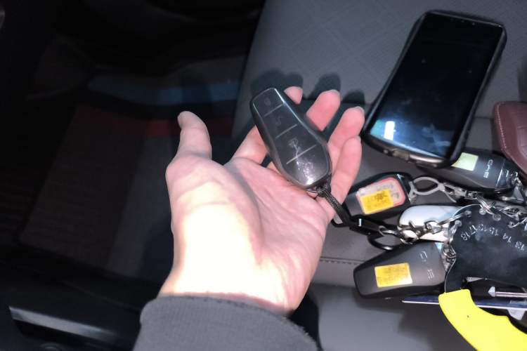 Used BYD Qin PLUS 2025 DM-i Smart Drive 55KM Leading Model
